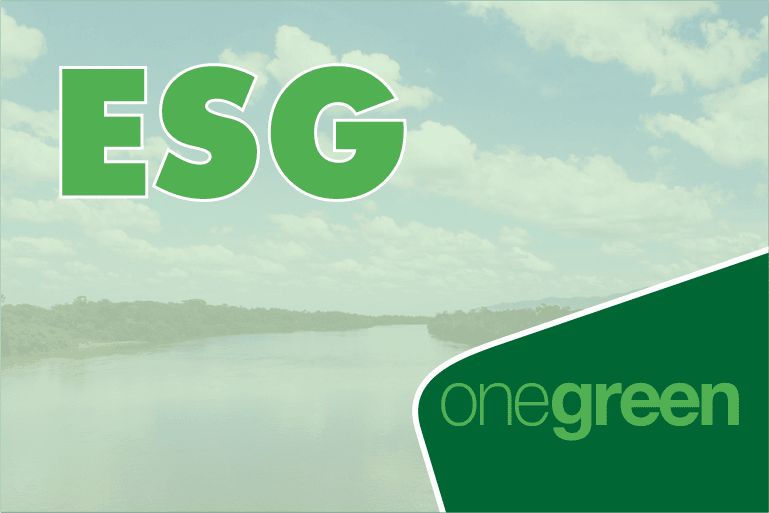 Como aplicar o ESG na sua empresa e porque ele é tão importante