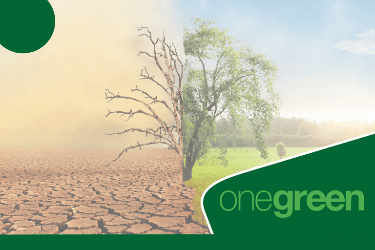 Mudança Climática: A Solução Está em Nossas Mãos!