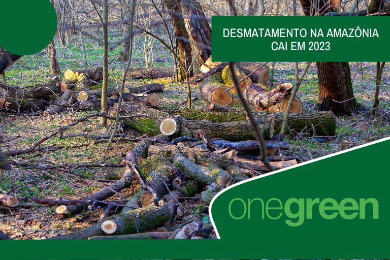 Taxa de desmatamento na Amazônia cai 22,3% em 2023