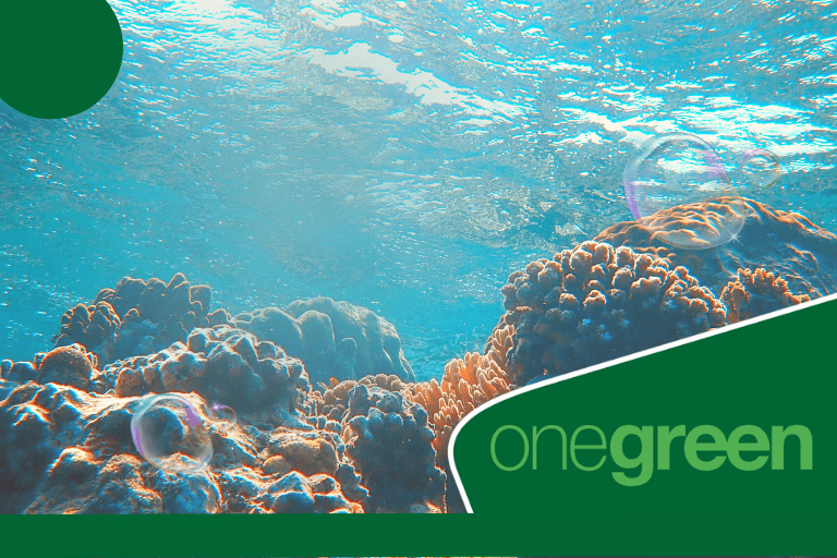 Unindo forças pela proteção e preservação marinha