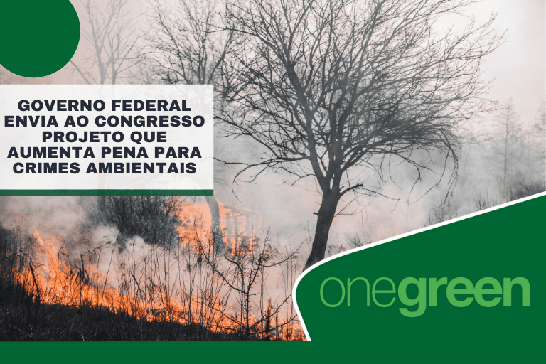 Governo Federal envia ao Congresso projeto que aumenta pena para crimes ambientais