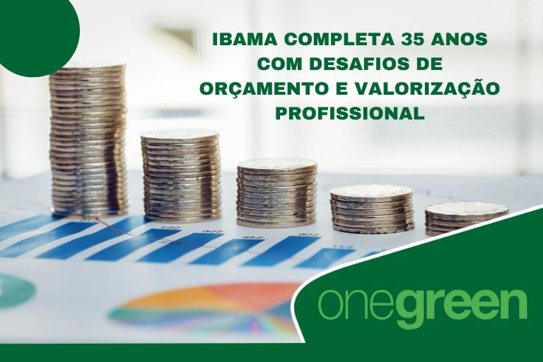 Ibama completa 35 anos com desafios de orçamento e valorização profissional