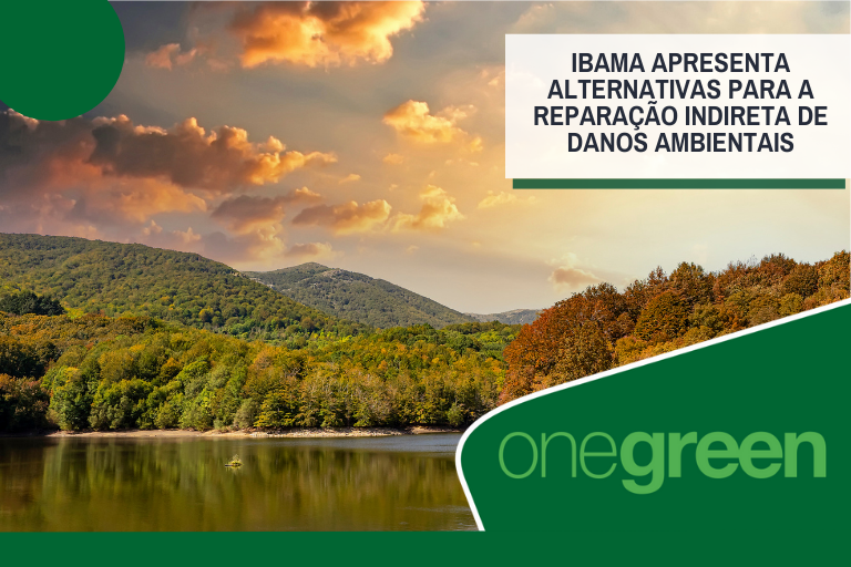 Ibama apresenta alternativas para a reparação indireta de danos ambientais