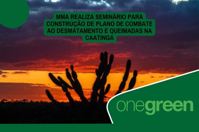 MMA realiza seminário para construção de plano de combate ao desmatamento e queimadas na Caatinga