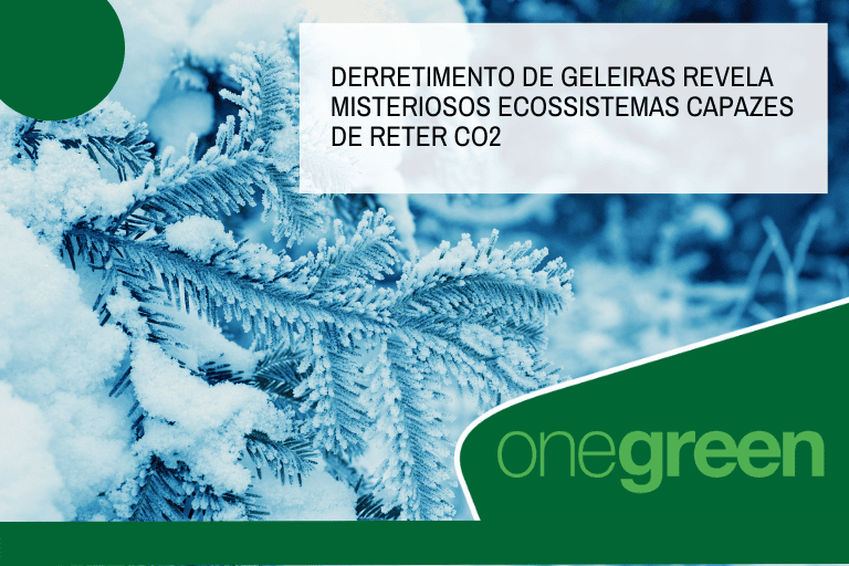 Derretimento de geleiras revela misteriosos ecossistemas capazes de reter CO2