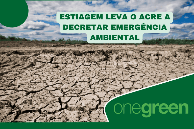 Estiagem leva o Acre a decretar emergência ambiental