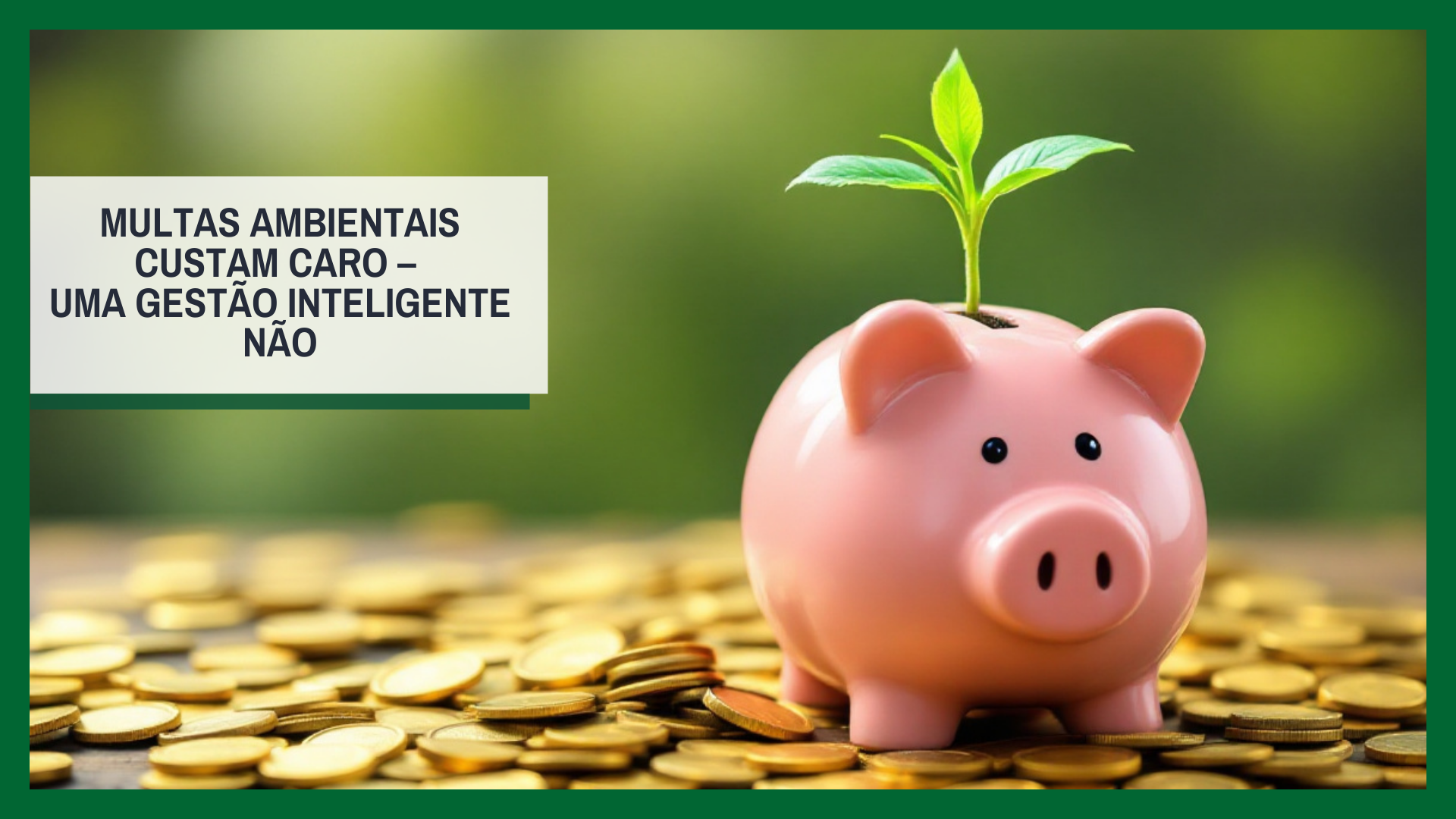 Multas Ambientais Custam Caro – A Gestão Inteligente Não