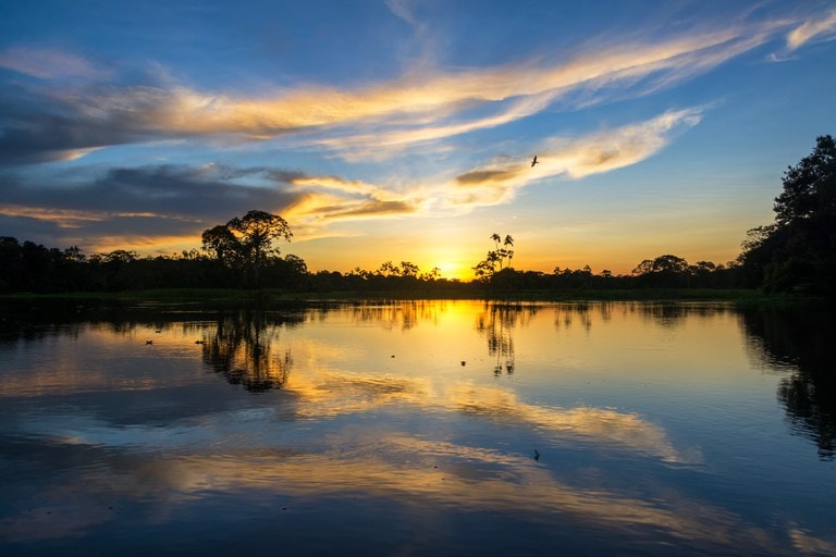 Site disponibiliza visita virtual à Amazônia