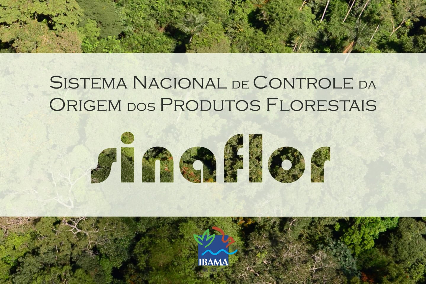Sinaflor: dados indicam ampla adesão dos estados ao Sistema